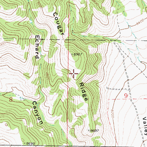 Topographic Map of Cougar Ridge, UT