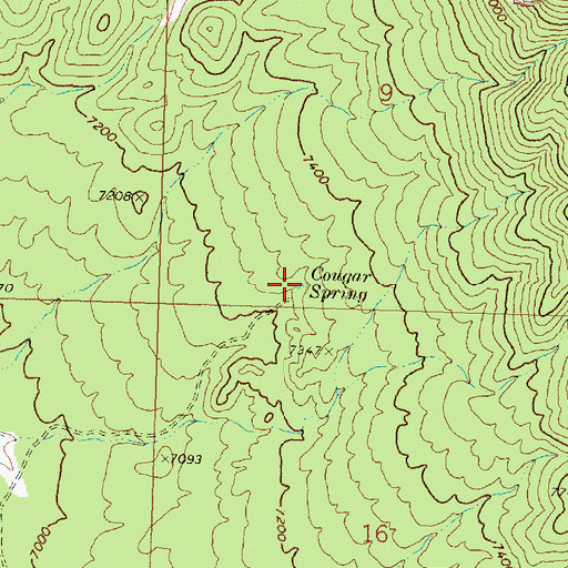 Topographic Map of Cougar Spring, UT