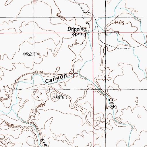 Topographic Map of Cow Canyon, UT