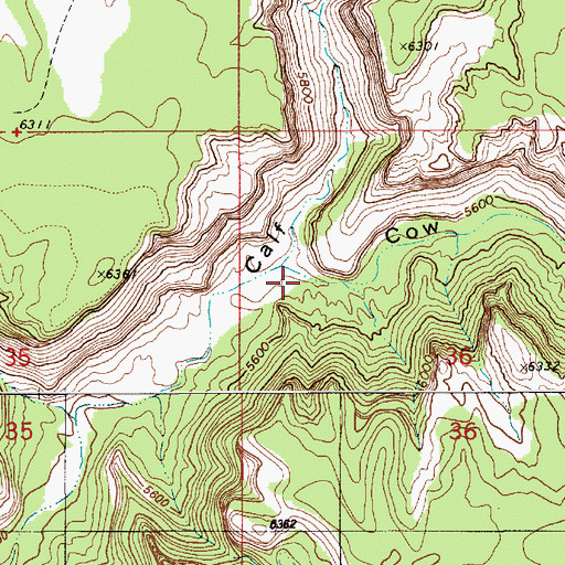 Topographic Map of Cow Canyon, UT