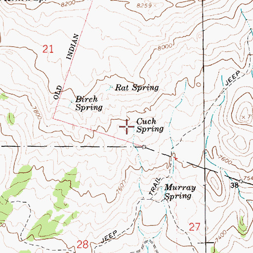 Topographic Map of Cuch Spring, UT