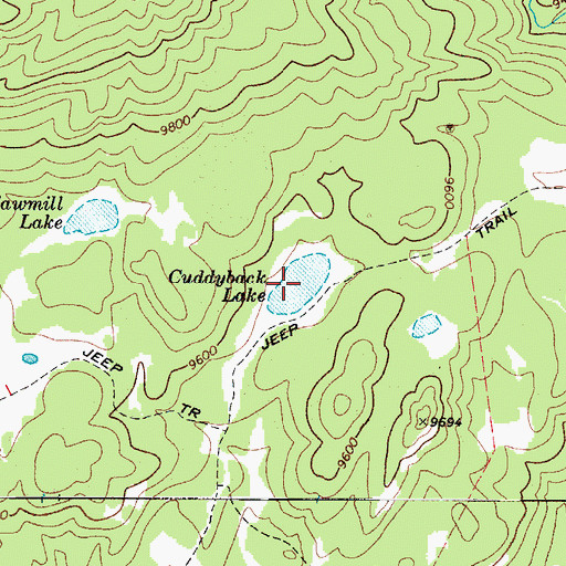 Topographic Map of Cuddyback Lake, UT