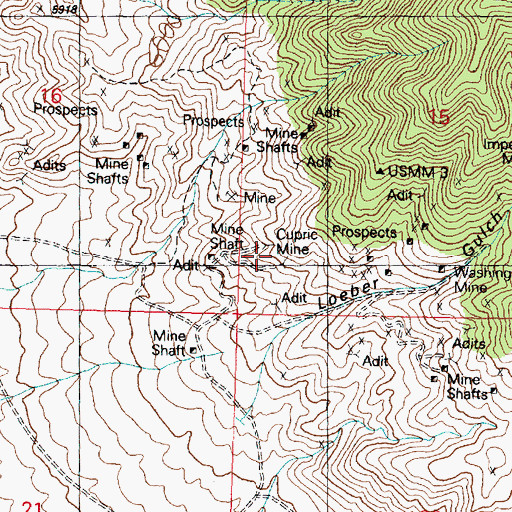 Topographic Map of Cupric Mine, UT