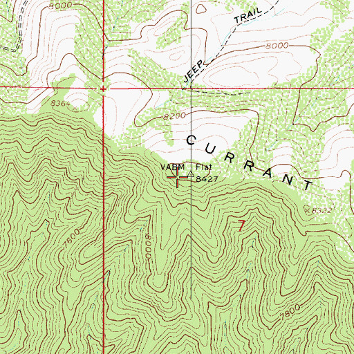 Topographic Map of Currant Creek Mountain, UT