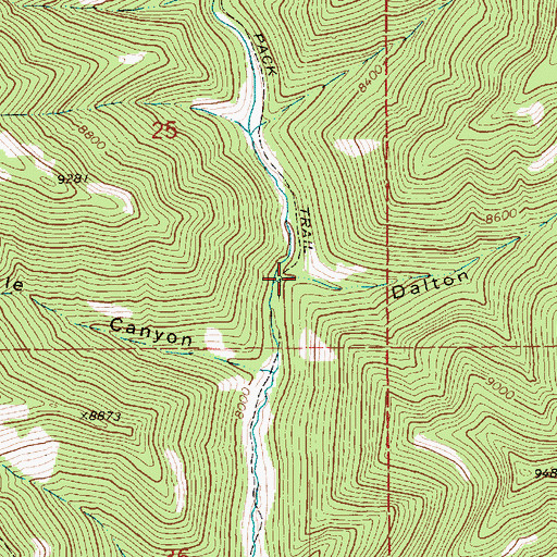Topographic Map of Dalton Canyon, UT