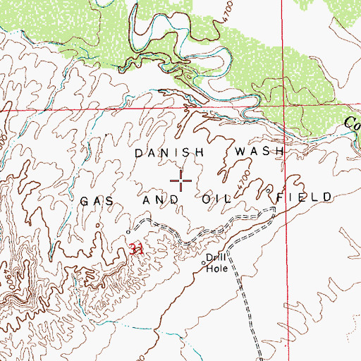 Topographic Map of Danish Wash Gas and Oil Field, UT
