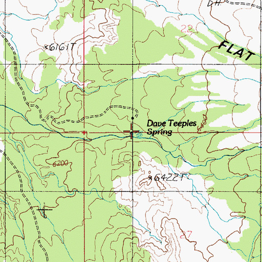 Topographic Map of Dave Teeples Spring, UT