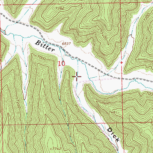 Topographic Map of Dick Canyon, UT