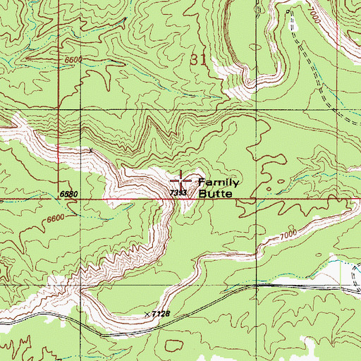 Topographic Map of Family Butte, UT