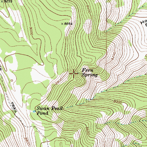 Topographic Map of Fern Spring, UT