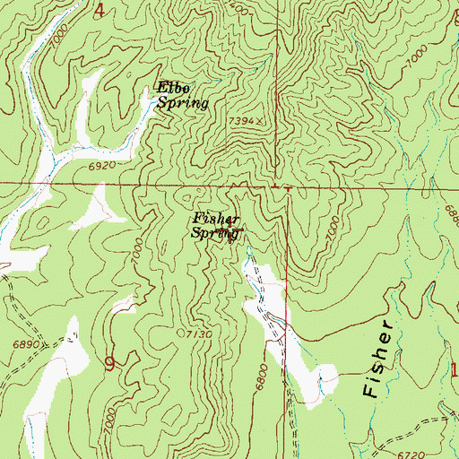 Topographic Map of Fisher Spring, UT