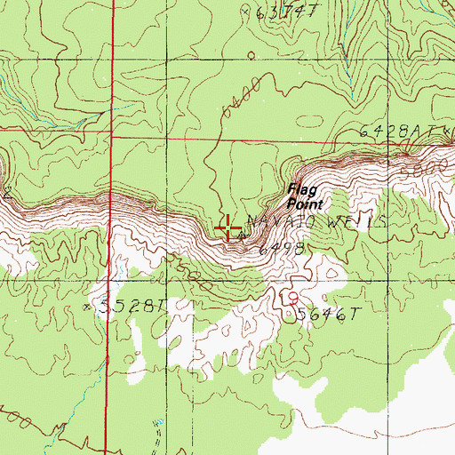 Topographic Map of Flag Point, UT