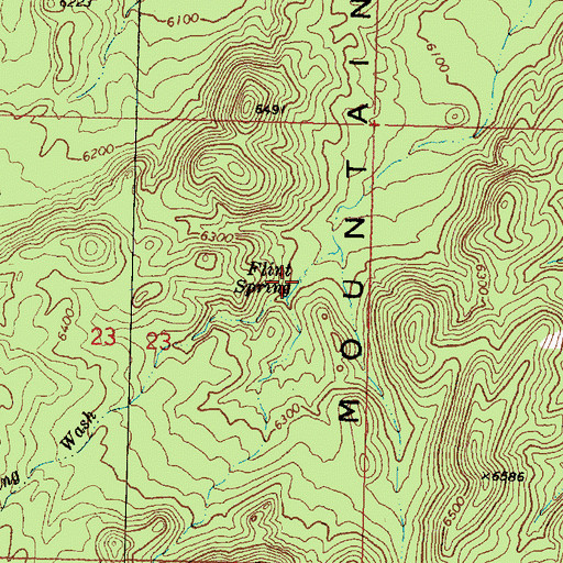 Topographic Map of Flint Spring, UT