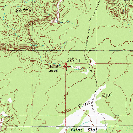 Topographic Map of Flint Seep, UT