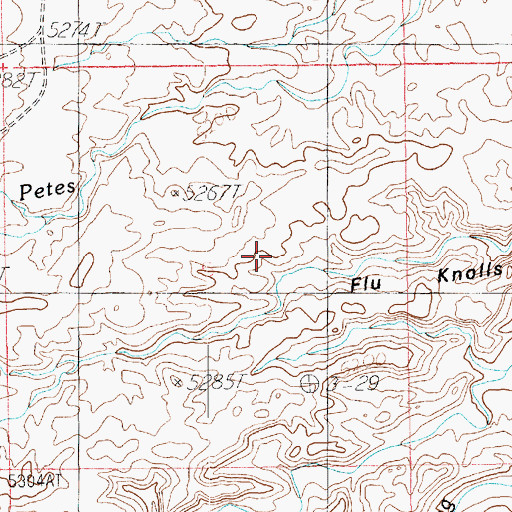 Topographic Map of Flu Knolls, UT
