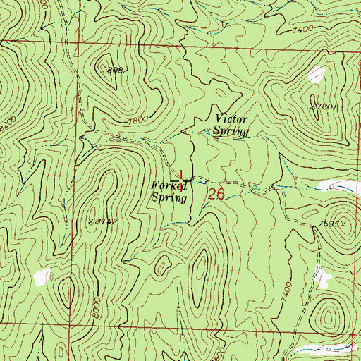 Topographic Map of Forked Spring, UT
