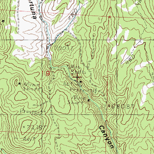 Topographic Map of Fortune Mine, UT