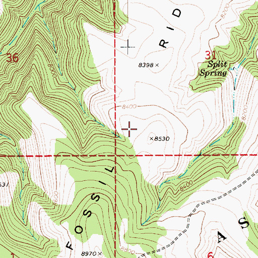 Topographic Map of Fossil Ridge, UT