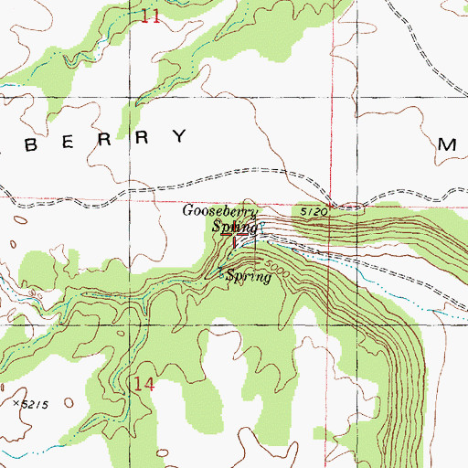 Topographic Map of Gooseberry Spring, UT