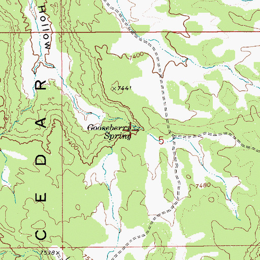 Topographic Map of Gooseberry Spring, UT