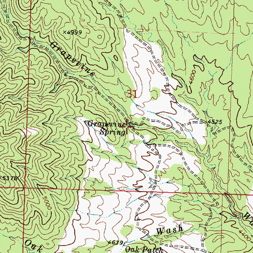 Topographic Map of Grapevine Spring, UT