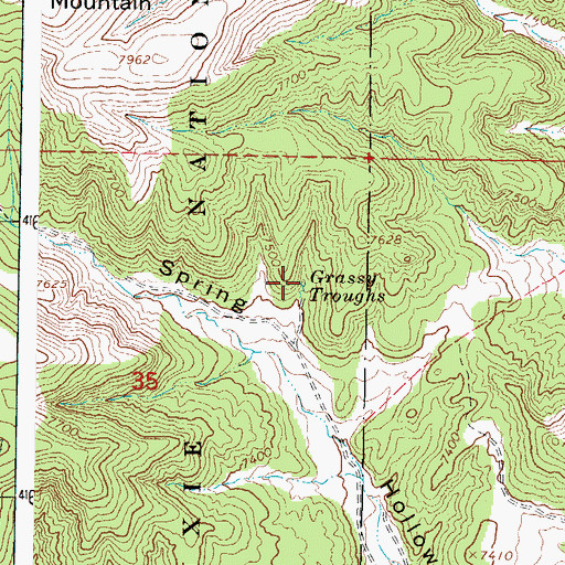 Topographic Map of Grassy Troughs, UT