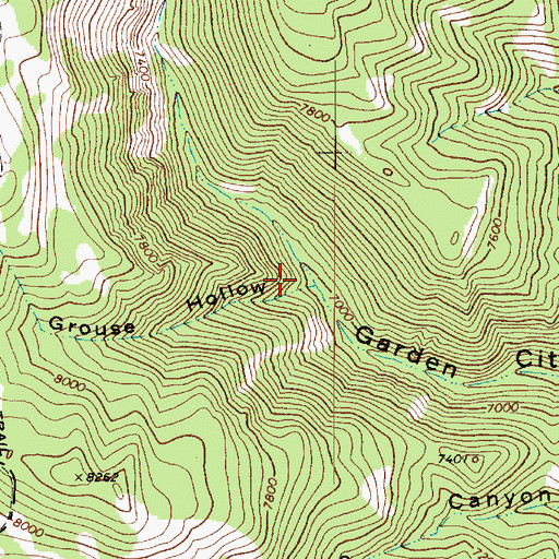 Topographic Map of Grouse Hollow, UT