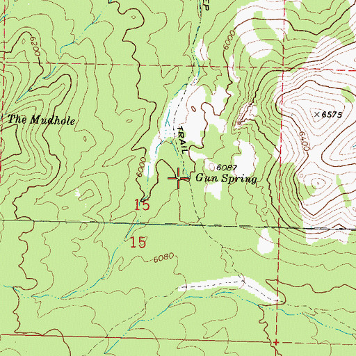 Topographic Map of Gun Spring, UT
