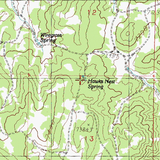 Topographic Map of Hawks Nest Spring, UT