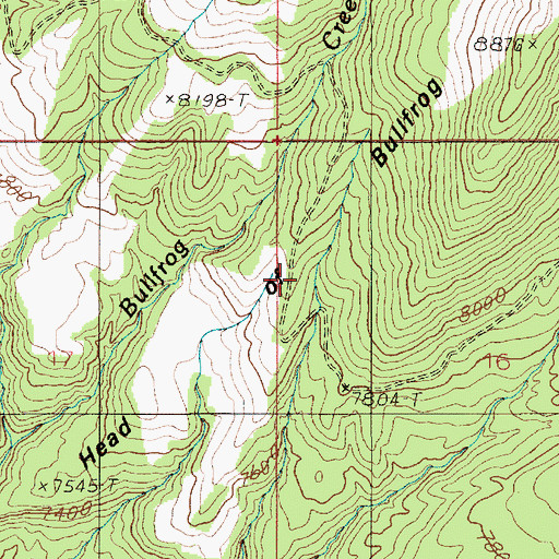 Topographic Map of Head of Bullfrog, UT