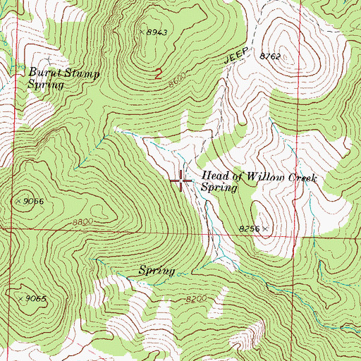 Topographic Map of Head of Willow Creek Spring, UT