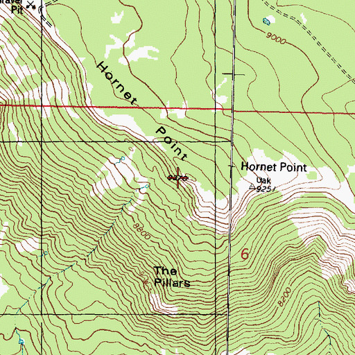 Topographic Map of Hornet Point, UT