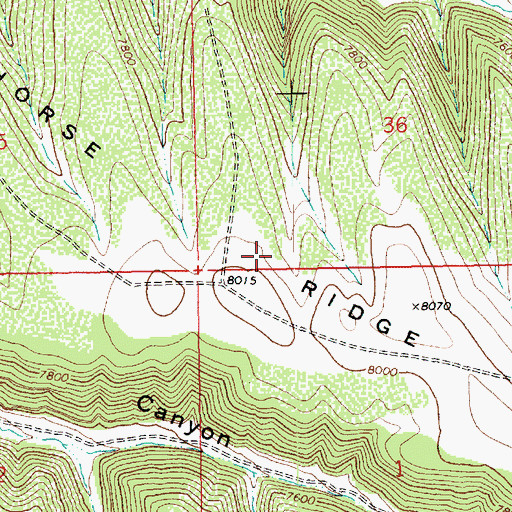 Topographic Map of Horse Ridge, UT