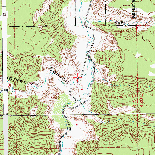Topographic Map of Horsecorn Canyon, UT