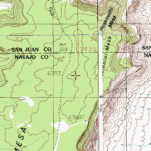 Topographic Map of Hoskinnini Mesa, AZ