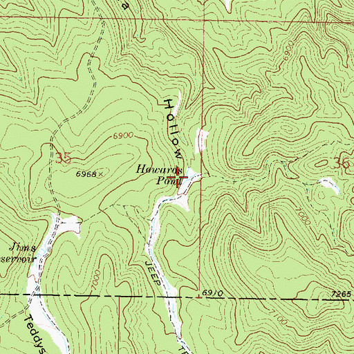 Topographic Map of Howards Pond, UT