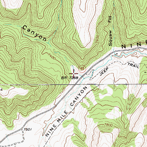 Topographic Map of Indian Canyon, UT