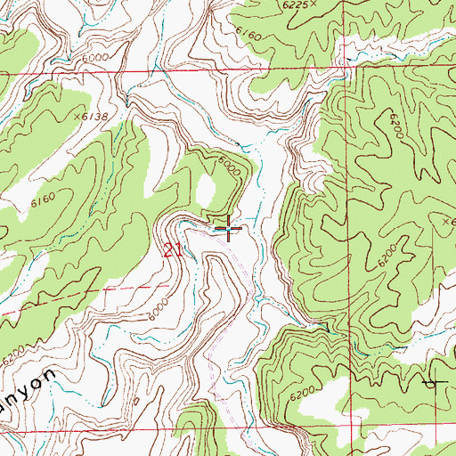 Topographic Map of Indian Ridge Canyon, UT