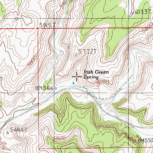 Topographic Map of Irish Green Spring, UT