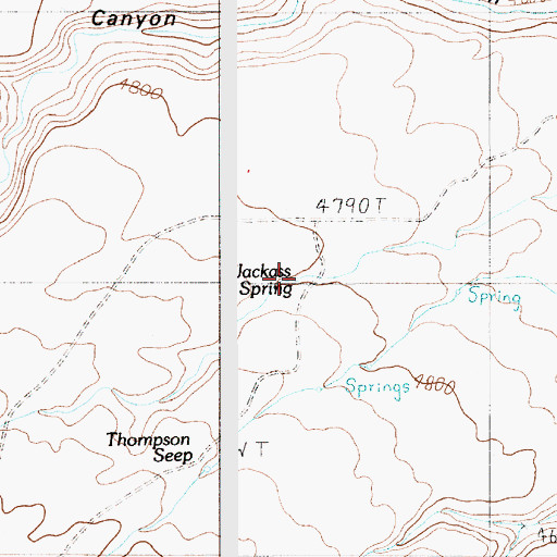 Topographic Map of Jackass Spring, UT