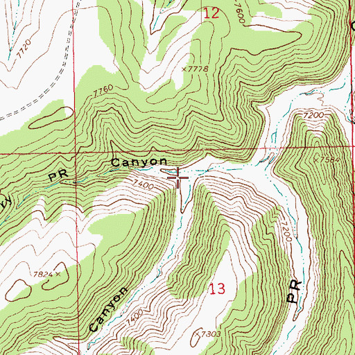 Topographic Map of Jacks Canyon, UT