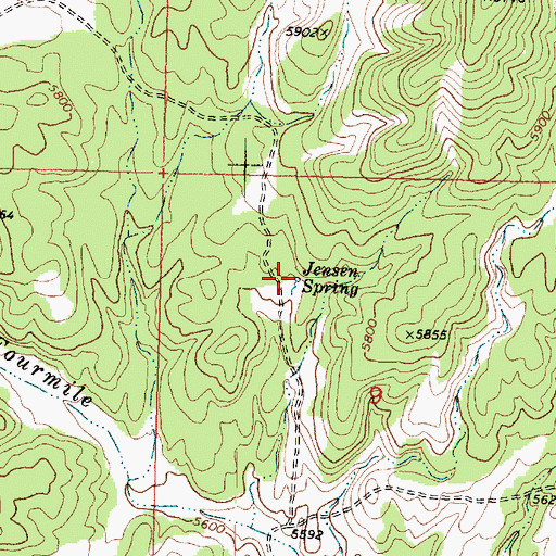 Topographic Map of Jensen Spring, UT