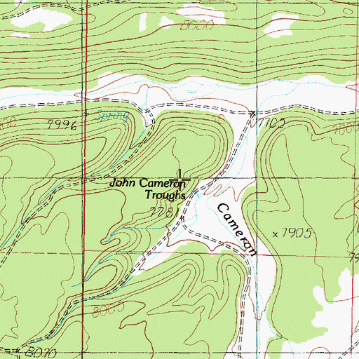 Topographic Map of John Cameron Troughs, UT