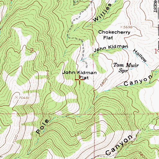 Topographic Map of John Kidman Flat, UT