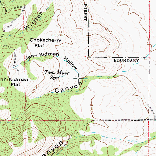 Topographic Map of John Kidman Hollow, UT