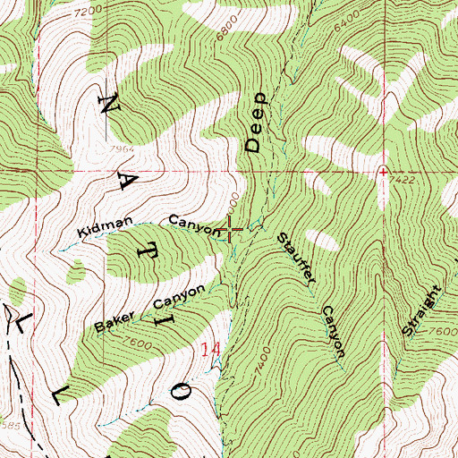Topographic Map of Kidman Canyon, UT