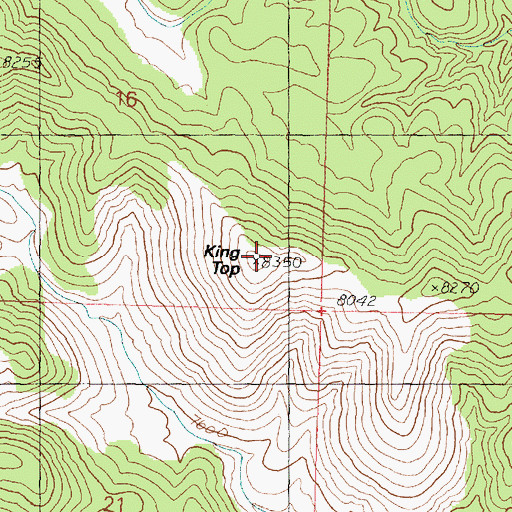 Topographic Map of King Top, UT
