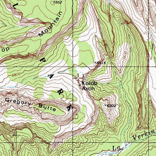 Topographic Map of Kolob Arch, UT