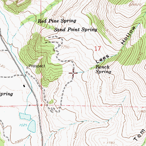 Topographic Map of Lees Hollow, UT