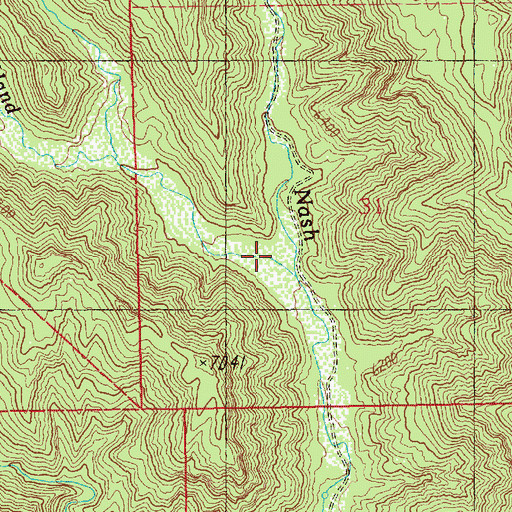 Topographic Map of Left Hand Nash Wash, UT